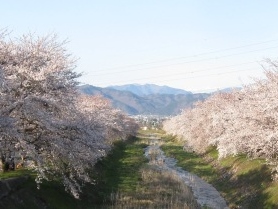公式案内画像