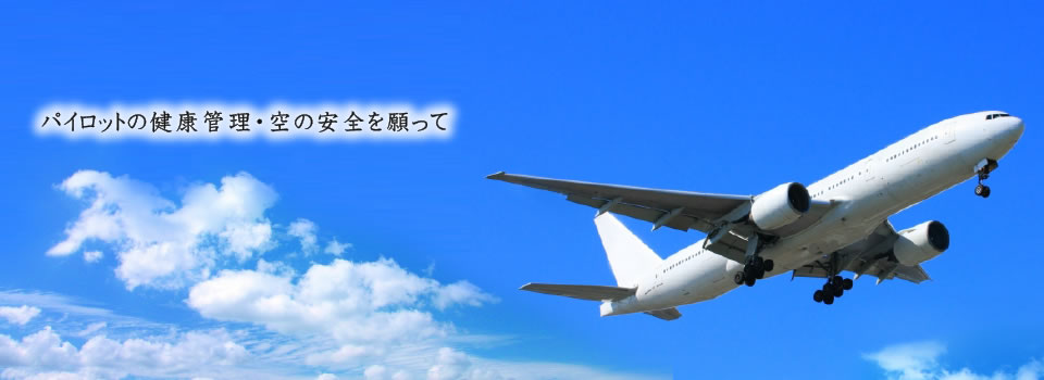 公式案内画像