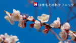 はまもと内科クリニック の写真
