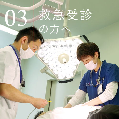 公式案内画像