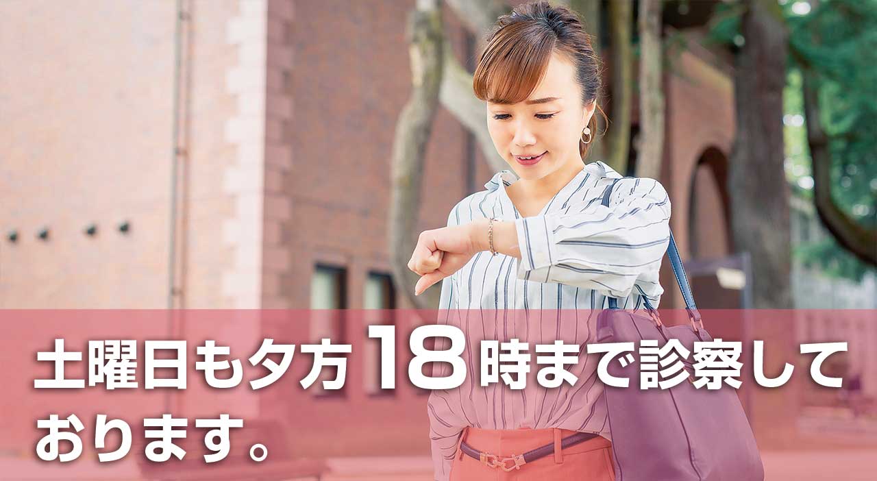 公式案内画像