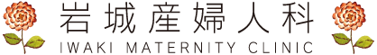 医療法人社団岩城産婦人科