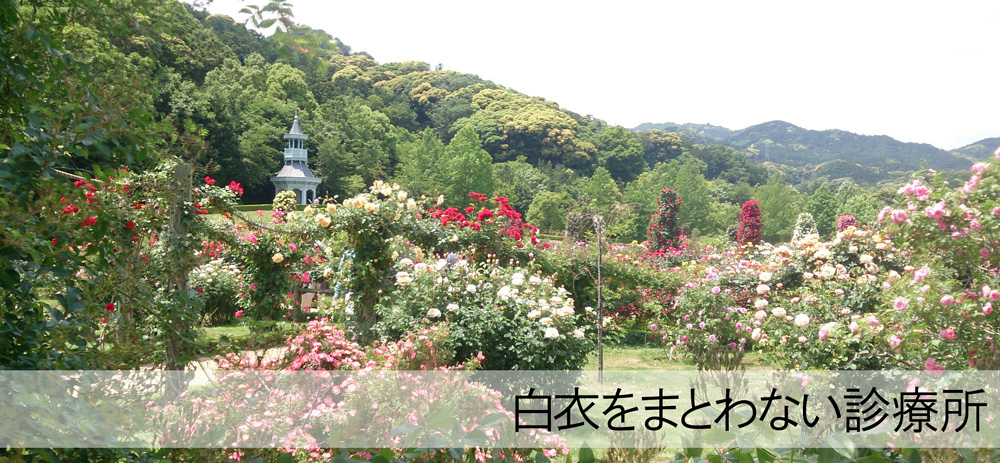 公式案内画像