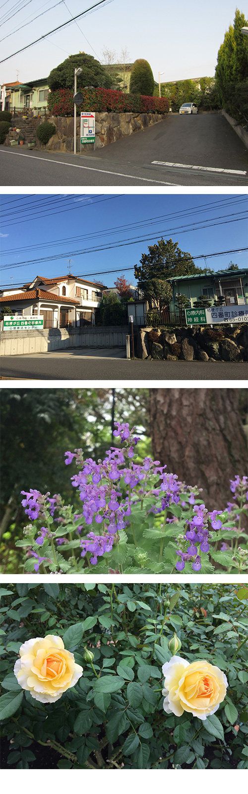 公式案内画像
