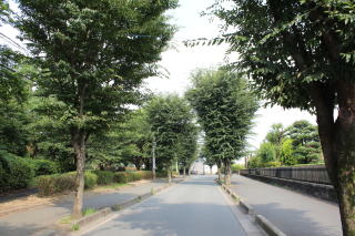 小柳病院 の写真