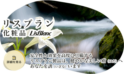 公式案内画像