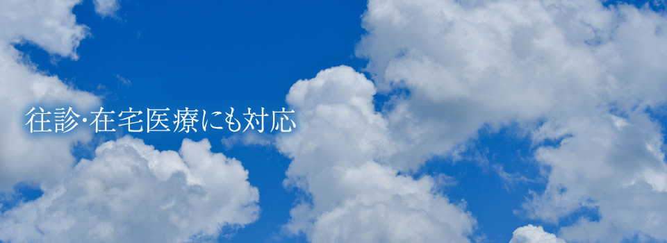 公式案内画像