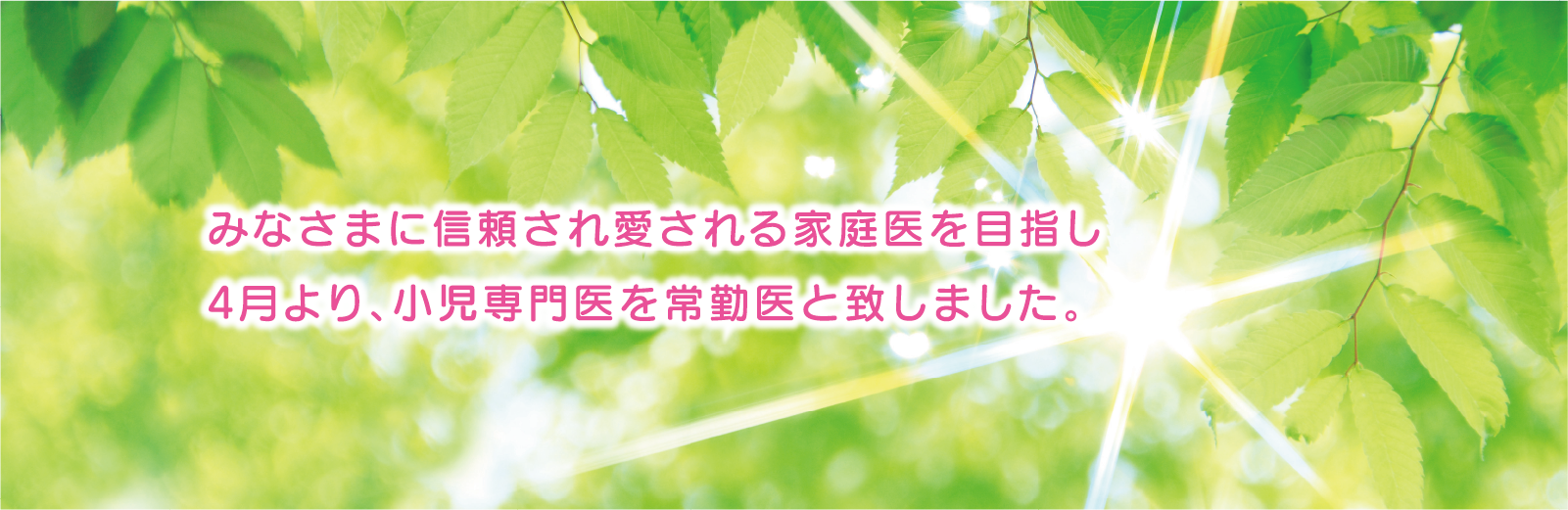 公式案内画像
