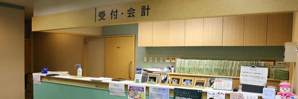 公式案内画像