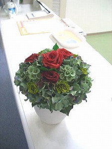 公式案内画像