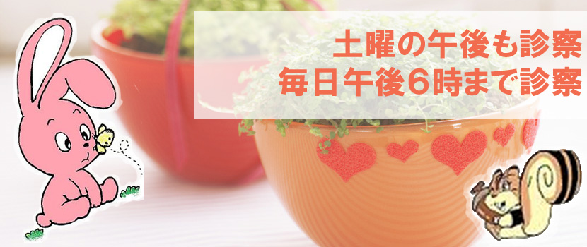 医療法人社団 のざわ小児科内科医院 の写真