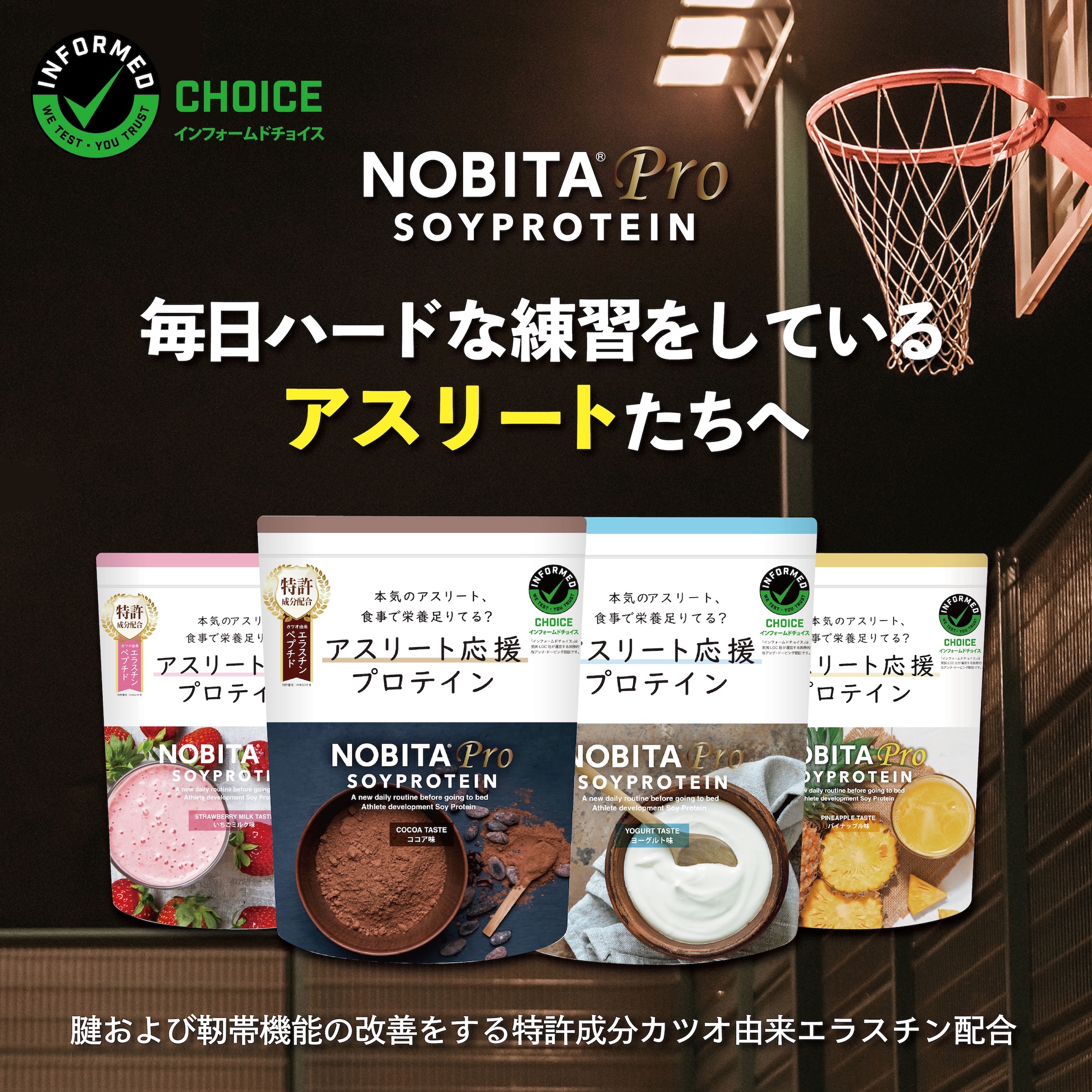 公式案内画像