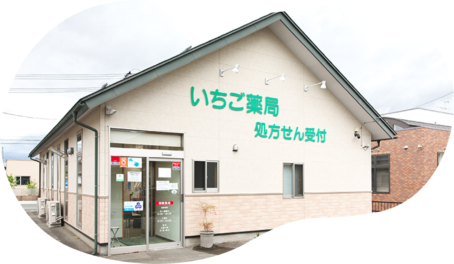 公式案内画像