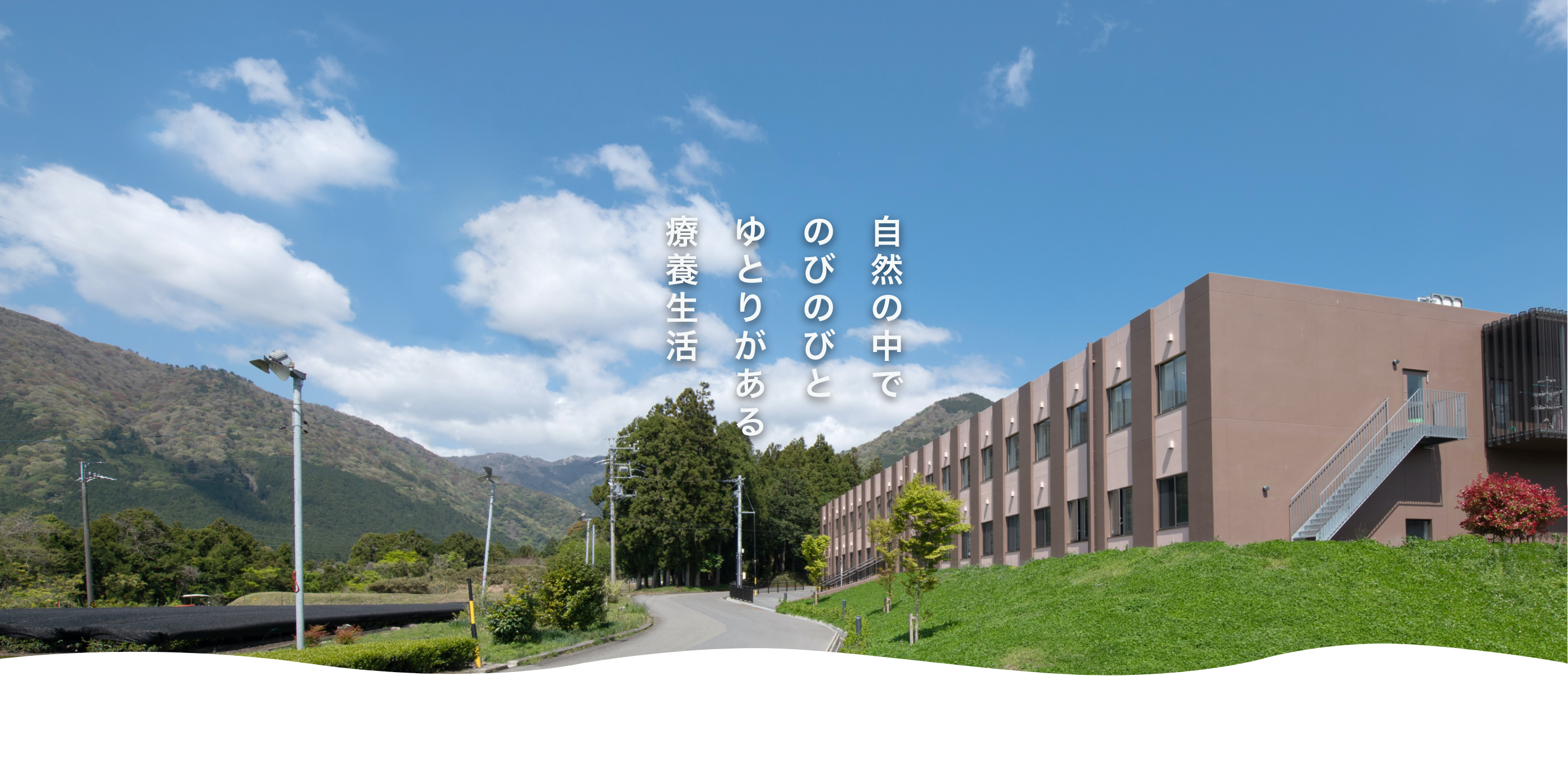 公式案内画像