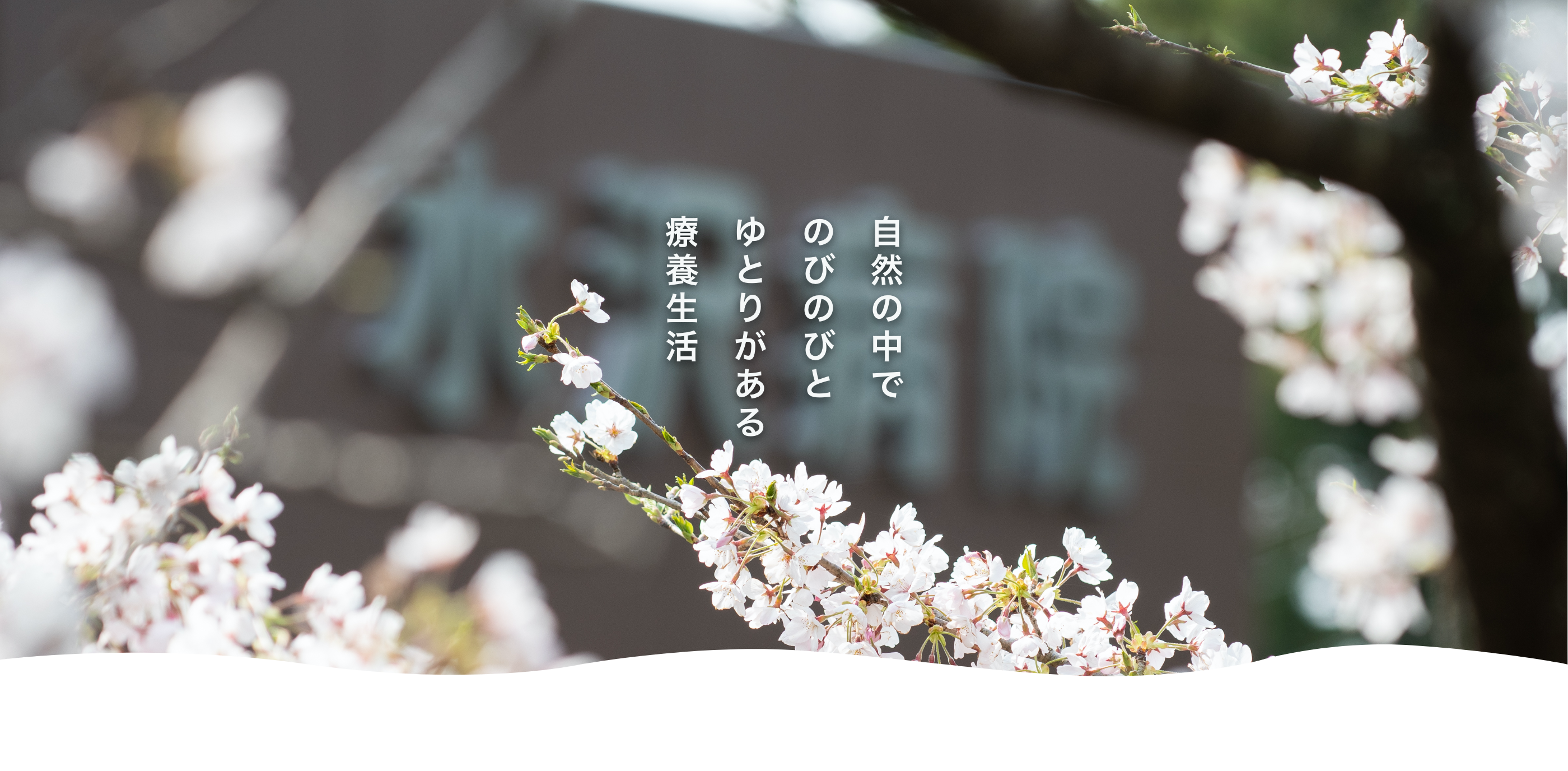 公式案内画像