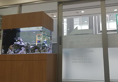 公式案内画像