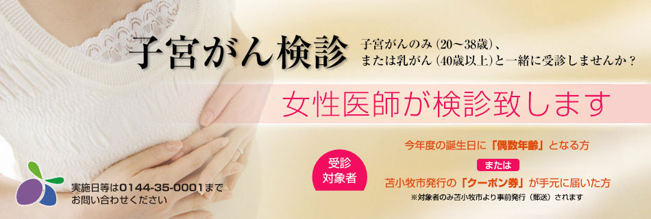 公式案内画像