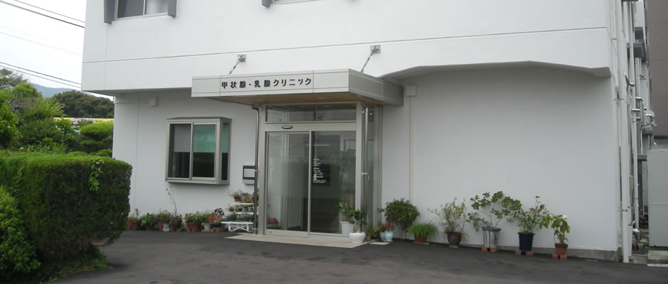 公式案内画像