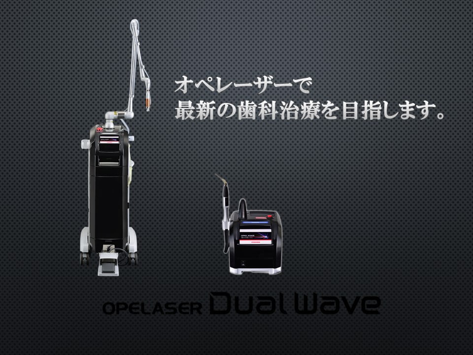 公式案内画像