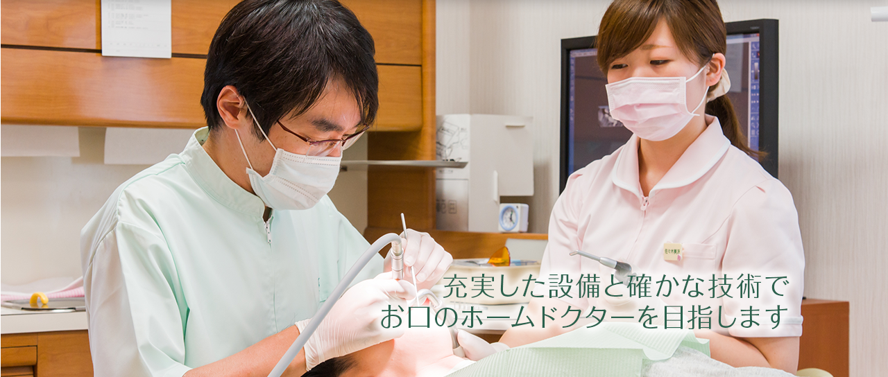 公式案内画像