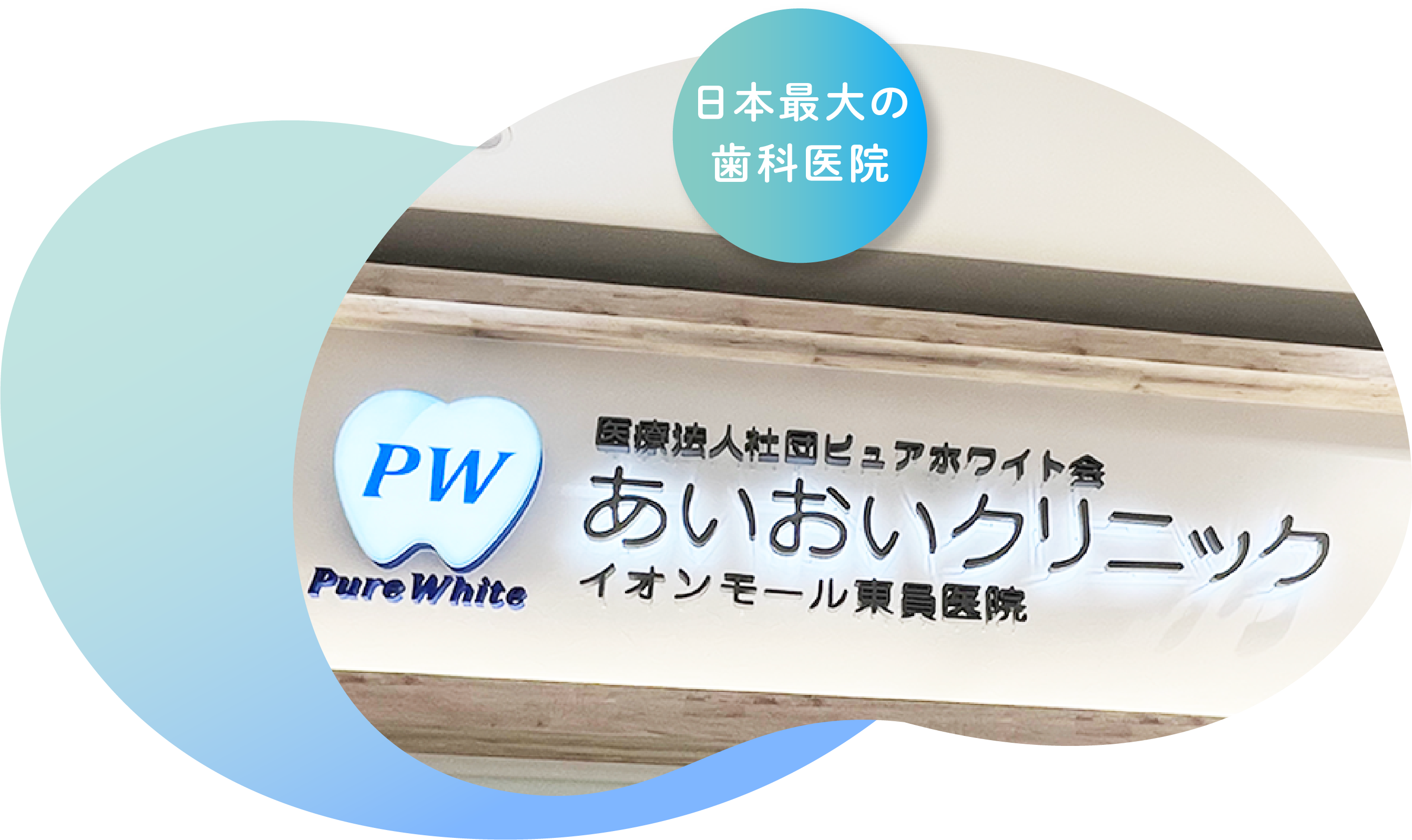 公式案内画像