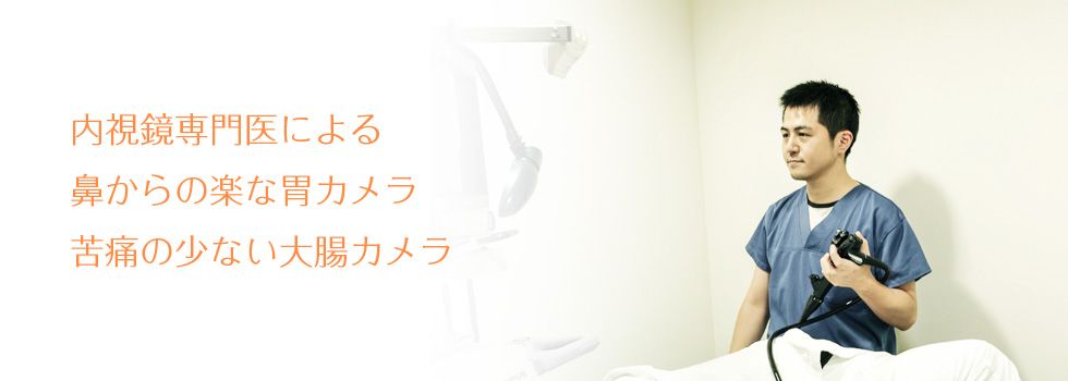 公式案内画像