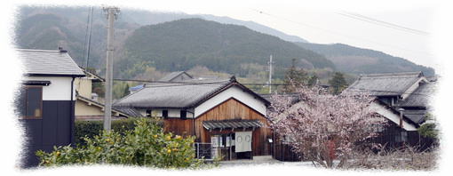 公式案内画像