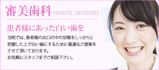 公式案内画像