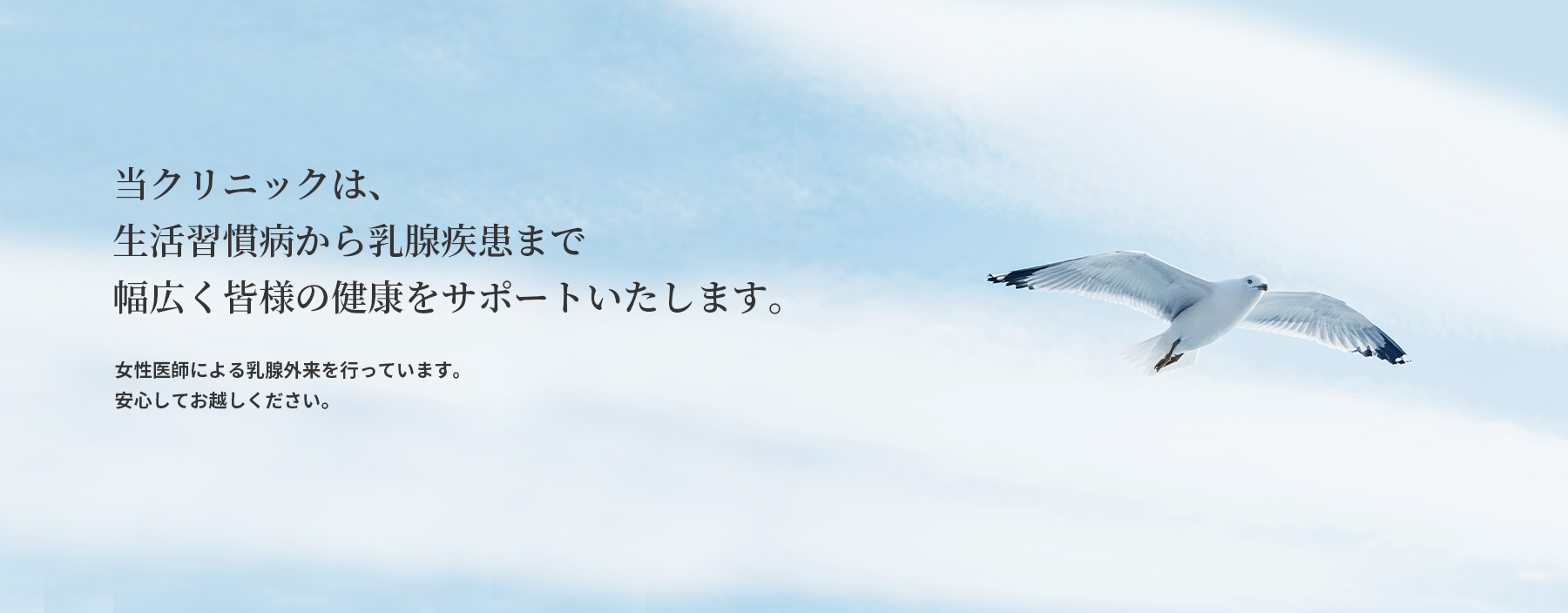 ベイシティクリニック の写真