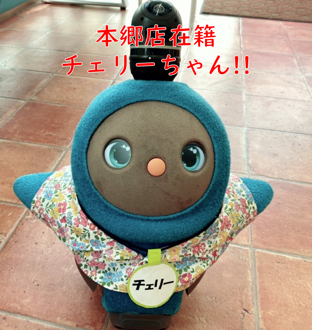 公式案内画像