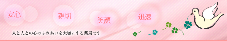 公式案内画像
