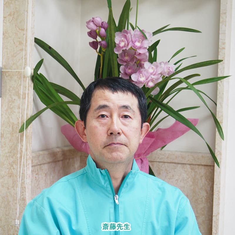公式案内画像