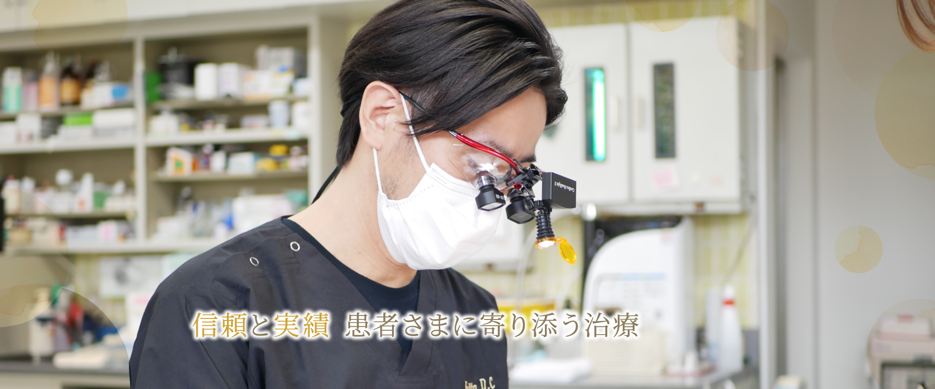 公式案内画像