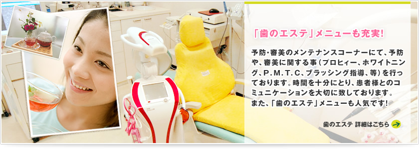公式案内画像