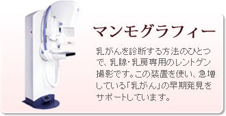 公式案内画像