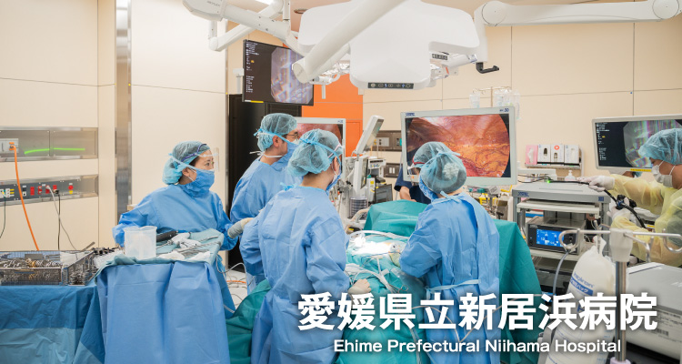 公式案内画像