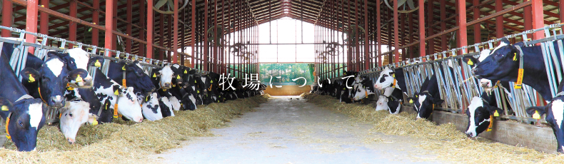 有限会社藤井牧場 の写真