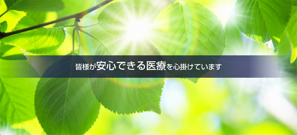 公式案内画像