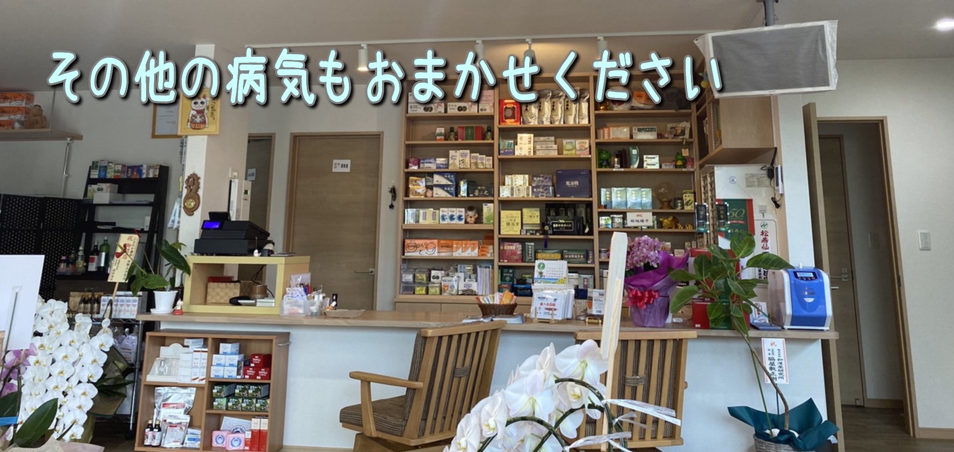 公式案内画像