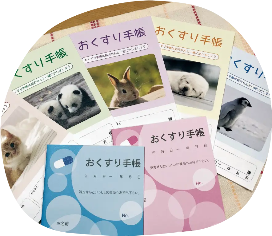 公式案内画像