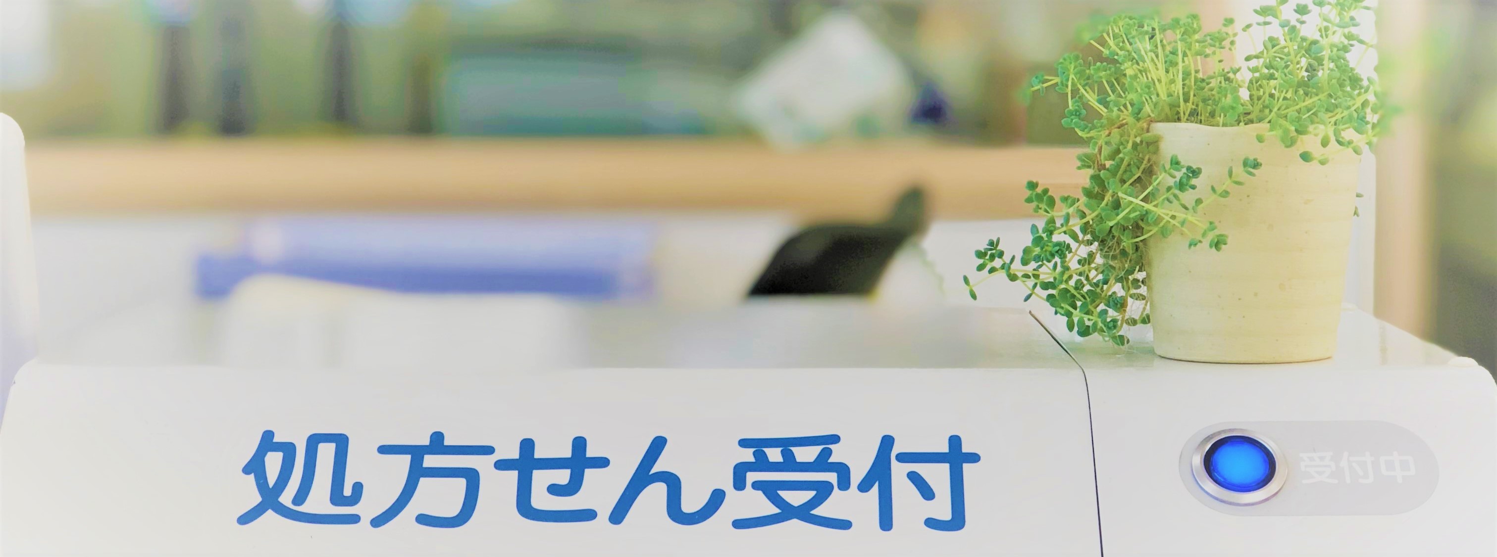 あおば薬局　前橋店 の写真