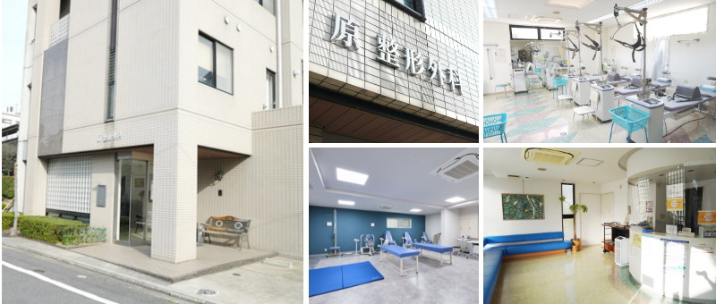 医療法人原整形外科医院 の写真