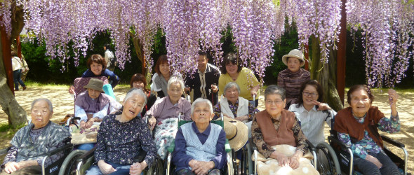 公式案内画像
