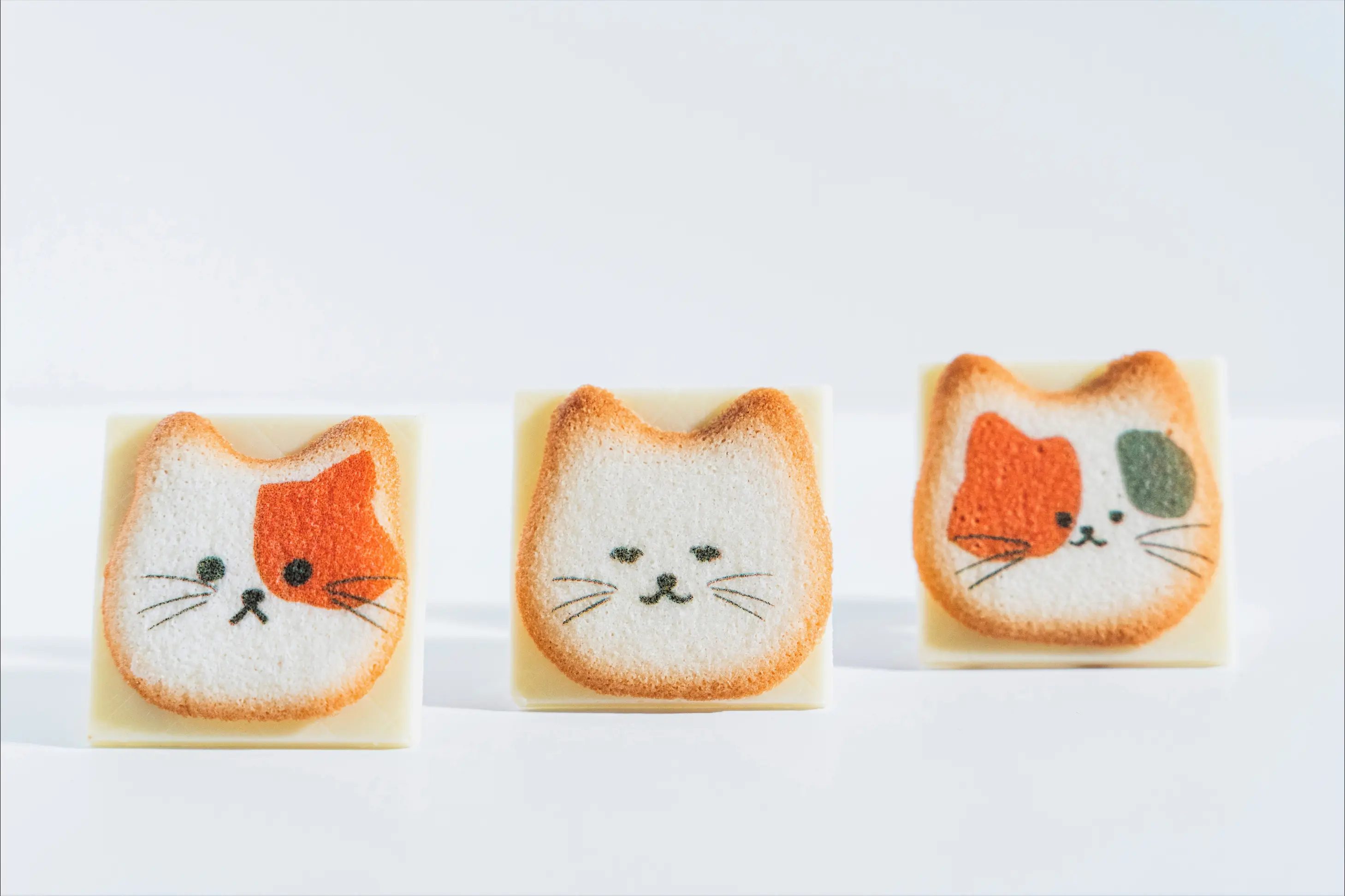 猫まみれ