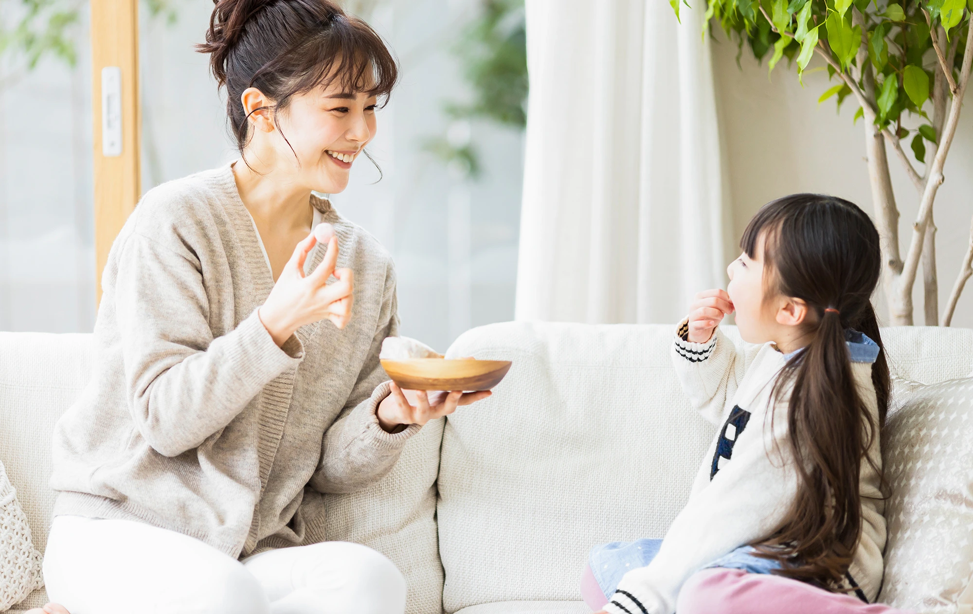 豊上製菓株式会社 の写真