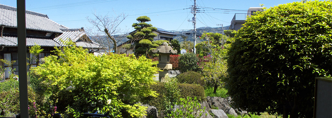 堀江歯科医院 の写真