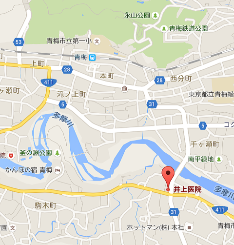 公式案内画像