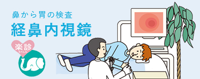 公式案内画像