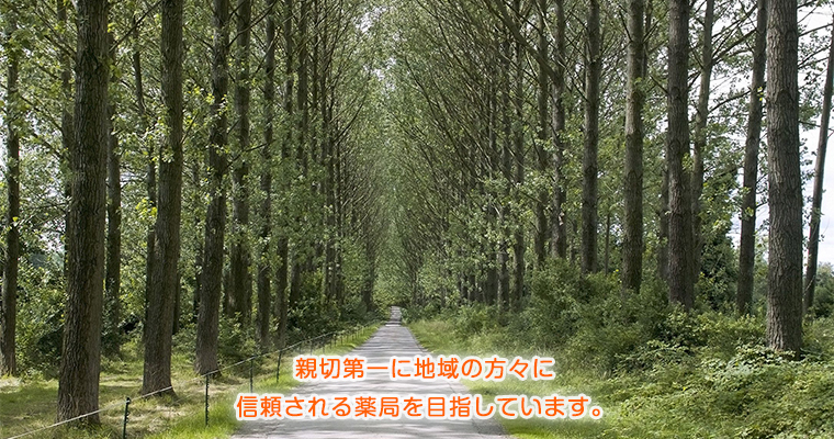 イワミドー薬局　西伊興店 の写真