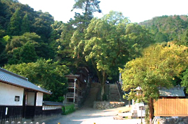 公式案内画像